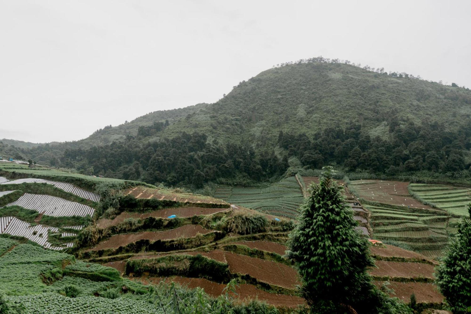 Satha Private Villa Dieng Banjarnegara المظهر الخارجي الصورة